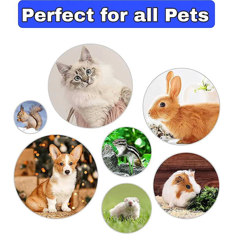 Kit de toilettage pour lapin, dissolvant de taches, peignes de nettoyage, coupe-ongles pour animaux de compagnie, shampoing Double face, brosse de bain pour cochon d'inde, lapin