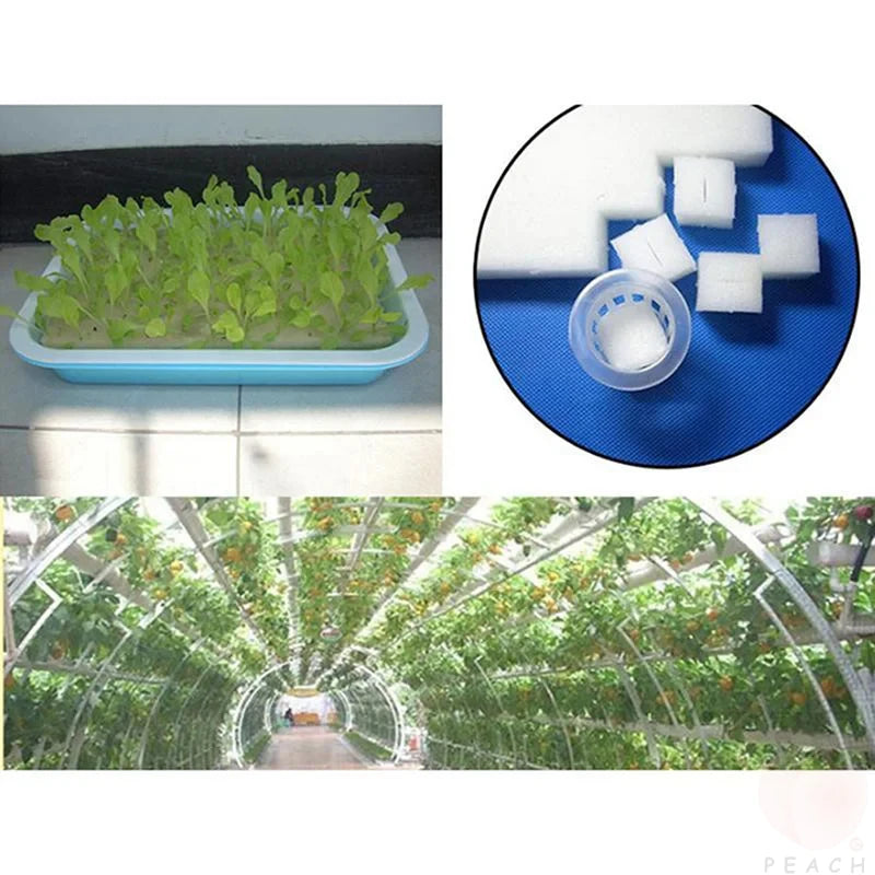 Éponge pour plantes hydroponiques, 100 pièces/feuille, culture de jardin, semis, Culture sans sol, outils de plantation, légumes, Pots de pépinière, plateaux