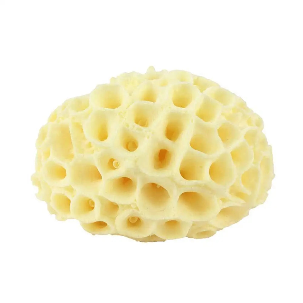 Natural Sea Wool Sponge, Replacement Frequency, Skin Remover, Books, Foam, Washing, Ohio, Pouf, Shower, Extension, Body