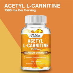 Acétyl L-carnitine - Supporte la concentration mémoire, augmente les performances du corps, la nutrition sportive, l'énergie métabolique - 120 capsules