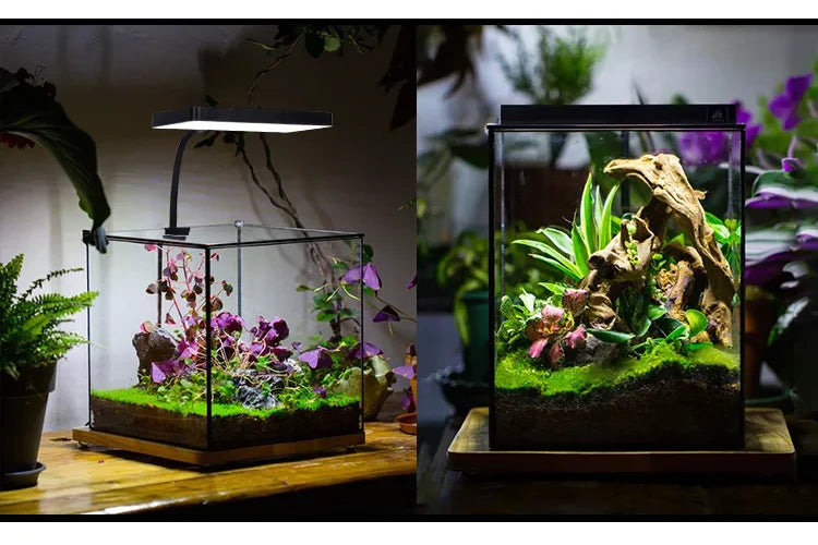 WEEK AQUA Mini 9 Pro USB Nano Aquarium lumière plante grandir spectre complet LED écologie Microlandspaysage lampe