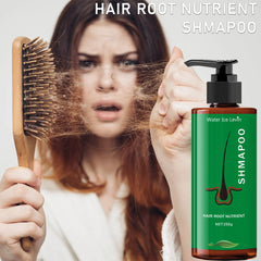Shampoing nutritionnel racine 250g, adapté aux types de cheveux normaux de formule hydratante, soins capillaires quotidiens, conception de bouteille lisse, ingrédients naturels
