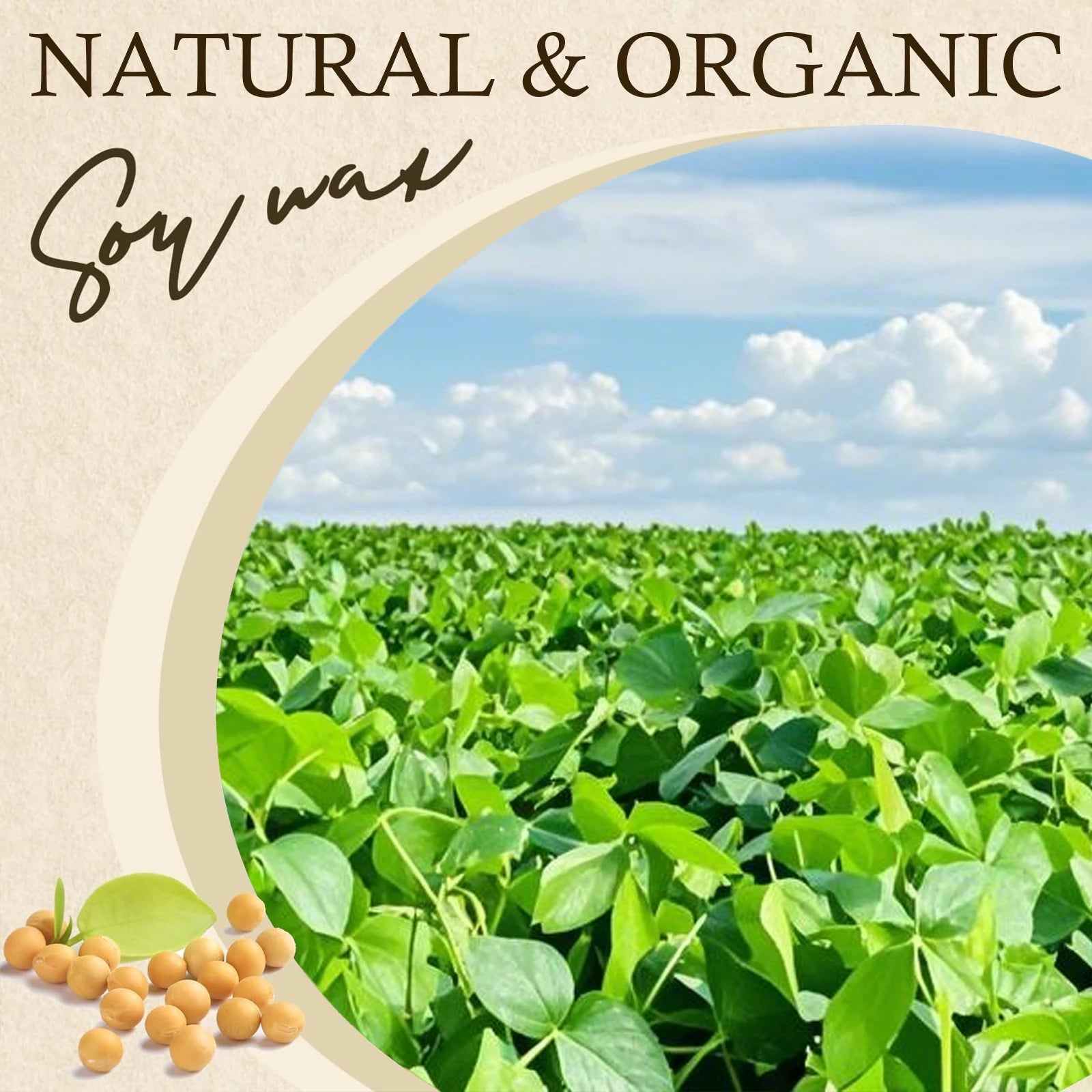 100g-1000g cire de soja naturelle bricolage bougies faites à la main artisanat faisant des fournitures 100% flocons de cire sans additifs bougie parfumée matière première