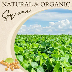 100g-1000g cire de soja naturelle bricolage bougies faites à la main artisanat faisant des fournitures 100% flocons de cire sans additifs bougie parfumée matière première