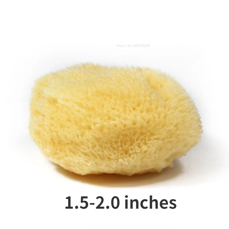 Peinture à l'aquarelle en éponge grecque naturelle, avec éponge absorbante, stylo d'essuyage, outil de nettoyage de Production de Texture spéciale