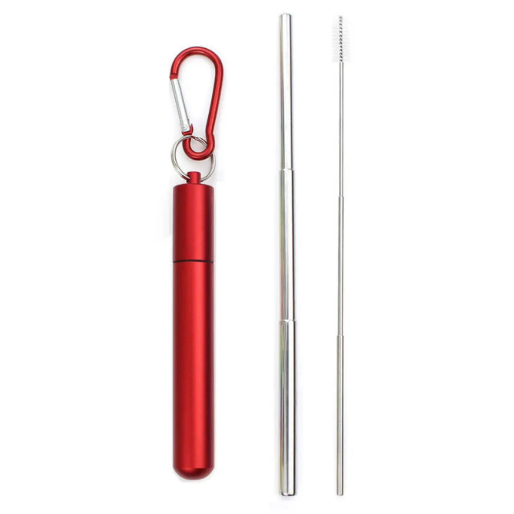Paille Télescopique Réutilisable en Acier Inoxydable 304, Paille D.lique avec Brosse pour Livres, Ensemble de Pailles à Boire Portables pour Voyage avec Étui