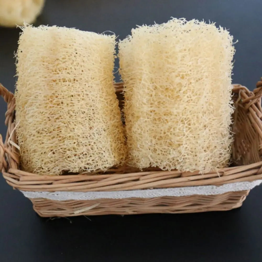 Éponge Luffa naturelle antiarina, bonne absorption, serviette de vaisselle, fourniture de bain et de cuisine