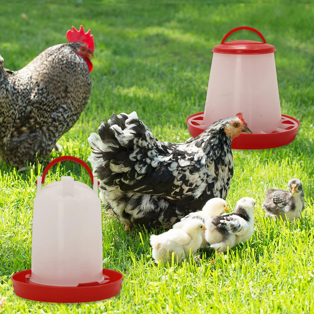 Mangeoire et abreuvoir pour poulet et volaille, distributeur automatique de nourriture et d'eau, seau d'alimentation, conteneur, approvisionnement agricole