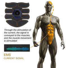 Thérapie de massage électrique EMS, stimulateur musculaire aste par USB, instituts photo, méridien numérique, masseur complet du corps, fitness