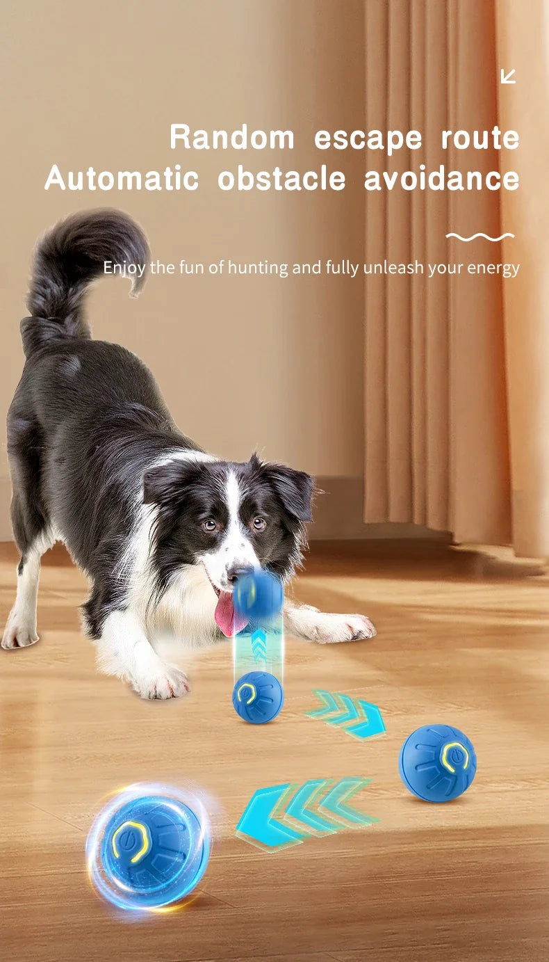 Jouet coule électronique intelligent pour animaux de compagnie, boule mobile, USB, mouvement automatique, rebondissant pour chiot, cadeau d'anniversaire, produit pour chat