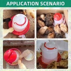 Mangeoire et abreuvoir pour poulet et volaille, distributeur automatique de nourriture et d'eau, seau d'alimentation, conteneur, approvisionnement agricole