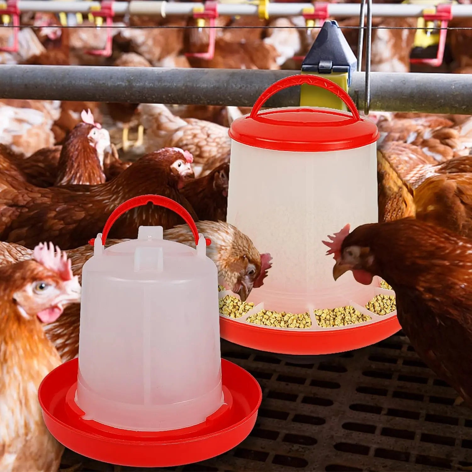 Mangeoire et abreuvoir pour poulet et volaille, distributeur automatique de nourriture et d'eau, seau d'alimentation, conteneur, approvisionnement agricole