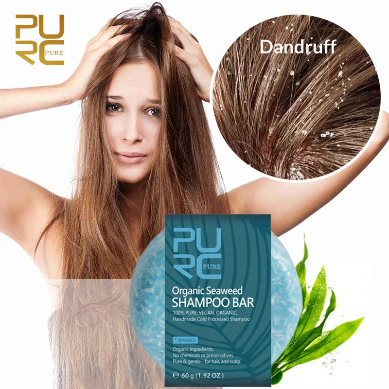 PURC-Shampoing en Polygonum pour Cheveux Gris et Blanc, Barre de Traitement du Cuir oral elu, au Charbon de Bambou de Regina, Solide, 60g