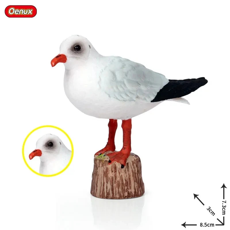 Classic Australian Wild Animals Kangaroos Koala Platypus Tasmanian Devil Echidna Cassowary Model Figurine Toy Child Gift