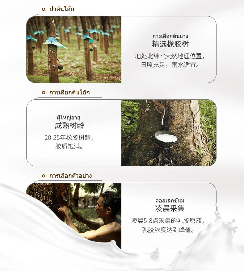 Matelas supérieur en Latex naturel 100%, Source de Latex haut de gamme, liquide pliable, tapis chinois à rebond lent avec housse en coton personnalisable