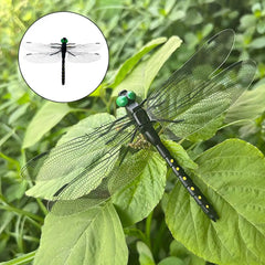 Simulation d'insecte libellule, modèle anti-moustiques, ornements suspendus d'extérieur, outil de répulsif pour jardin et ferme, 4 ou 10 pièces