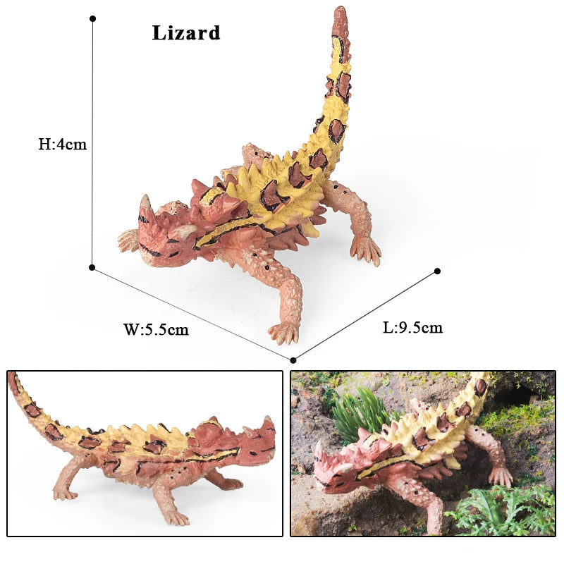 Classic Australian Wild Animals Kangaroos Koala Platypus Tasmanian Devil Echidna Cassowary Model Figurine Toy Child Gift