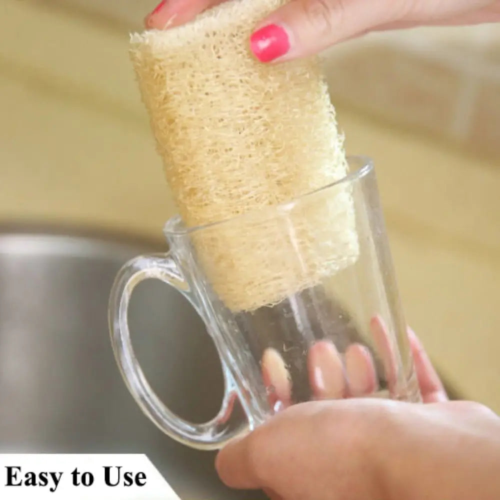 Éponge Luffa naturelle antiarina, bonne absorption, torchons de bain, éponge de douche Linge, plantation de pingouin long, luffa logique, cuisine