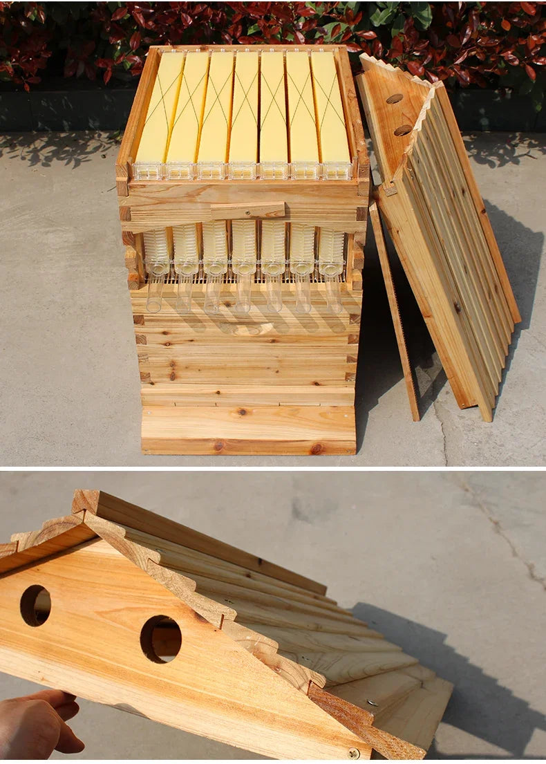 Dispositif de Flux existent de Miel pour Ruche d'Apiculture, Ensemble Complet d'Outils d'Apiculture, Nouveauté