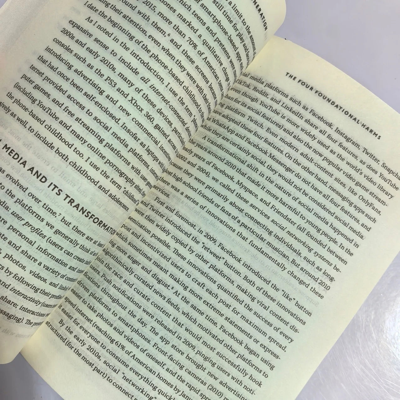 Bview Art La génération ansieuse : best-seller de la NYT sur l'anxiété numérique et le bien-être mental