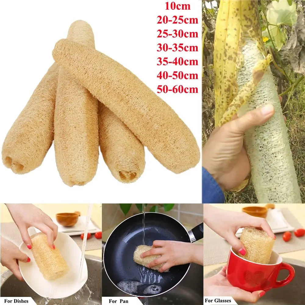 Éponge Luffa naturelle antiarina, bonne absorption, torchons de bain, éponge de douche Linge, plantation de pingouin long, luffa logique, cuisine