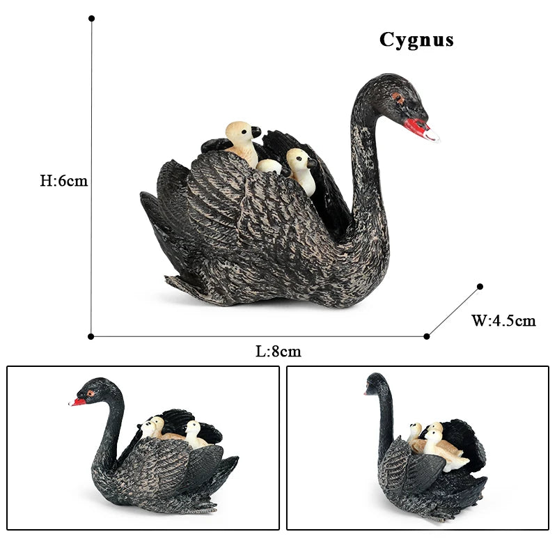 Classic Australian Wild Animals Kangaroos Koala Platypus Tasmanian Devil Echidna Cassowary Model Figurine Toy Child Gift