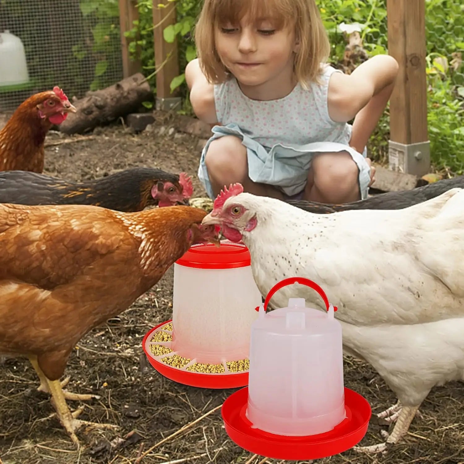 Mangeoire et abreuvoir pour poulet et volaille, distributeur automatique de nourriture et d'eau, seau d'alimentation, conteneur, approvisionnement agricole