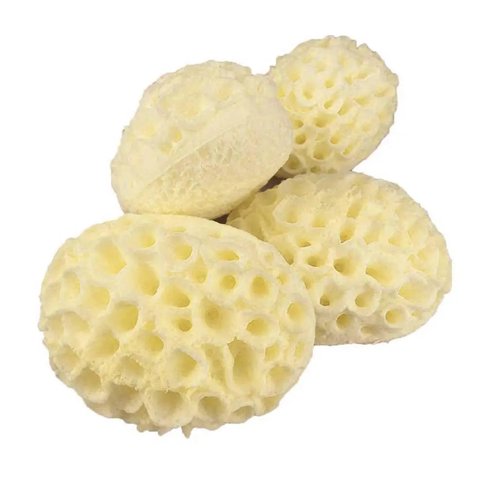 Natural Sea Wool Sponge, Replacement Frequency, Skin Remover, Books, Foam, Washing, Ohio, Pouf, Shower, Extension, Body