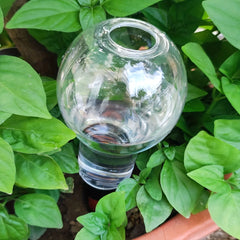 Outil d'arrosage automatique de jardin, dispositif d'arrosage goutte-à-goutte d'intérieur pour plantes d'intérieur, personnes paresseuses, fleurs d'eau