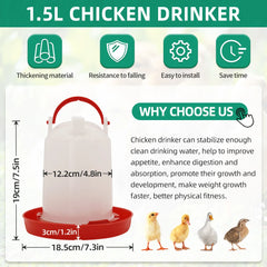 Mangeoire et abreuvoir pour poulet et volaille, distributeur automatique de nourriture et d'eau, seau d'alimentation, conteneur, approvisionnement agricole