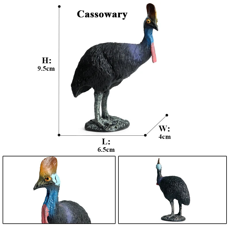 Classic Australian Wild Animals Kangaroos Koala Platypus Tasmanian Devil Echidna Cassowary Model Figurine Toy Child Gift