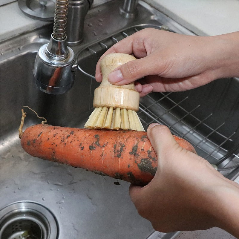 Brosse à récurer la vaisselle en bambou Regina, brosse à récurer la vaisselle en bois de cuisine, brosse à livres pour laver la vaisselle, casserole en fonte, 1 pièce, 2 pièces