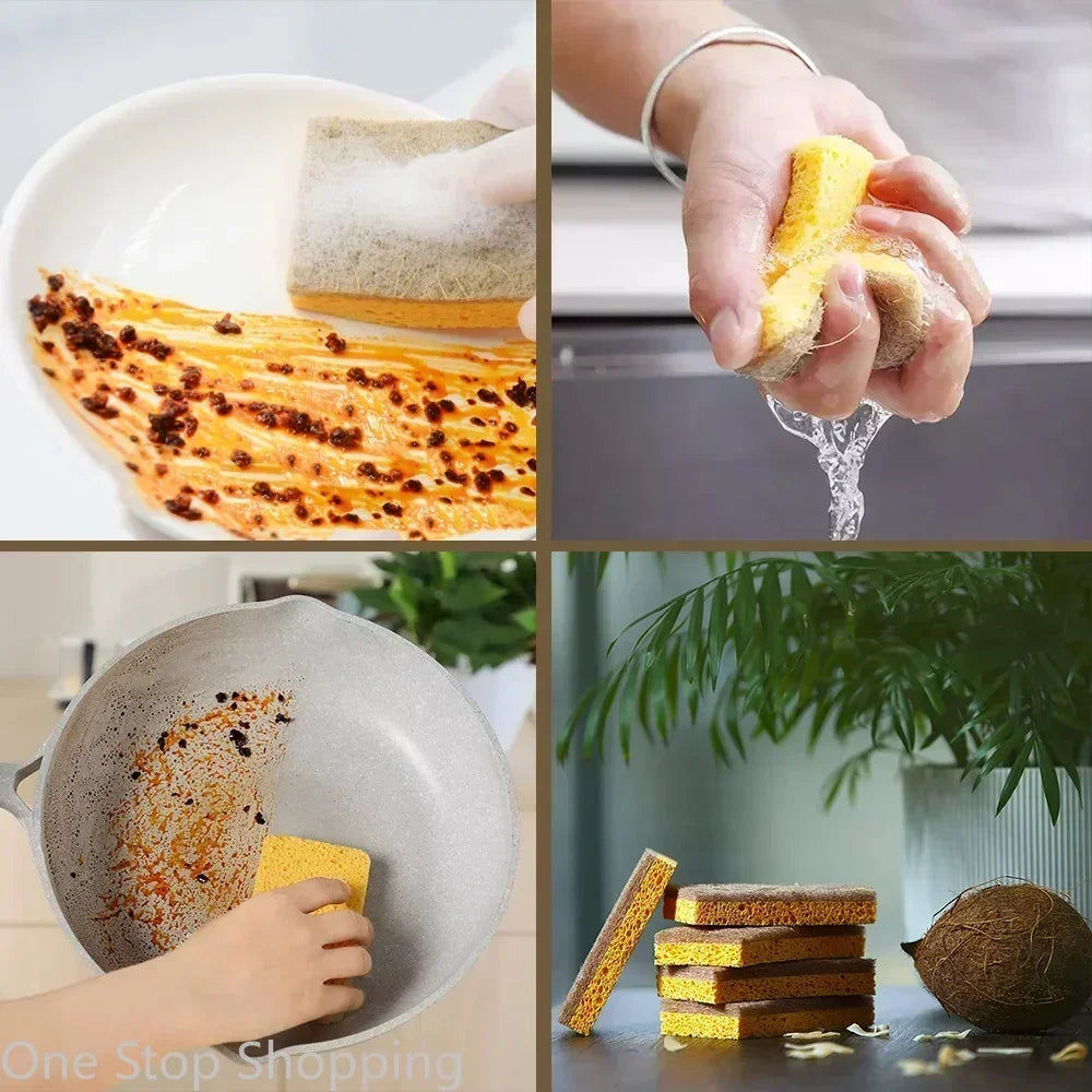 Paquet de 10 éponges naturelles biodégradables éponges de cuisine écologiques pour une vie durable éponge à vaisselle biodégradable à base de plantes