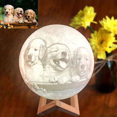 Customized Photo Lamp, Customized Photo Gift, 3D Print Your Photos, Birthday Gift, Anniversary Gift, Valentine's Day Gift, Mother's Day Gift, Father's Day Gift, Christmas Gift, USB Desk Lamp, Bedside Night Light, Bedroom Lamp