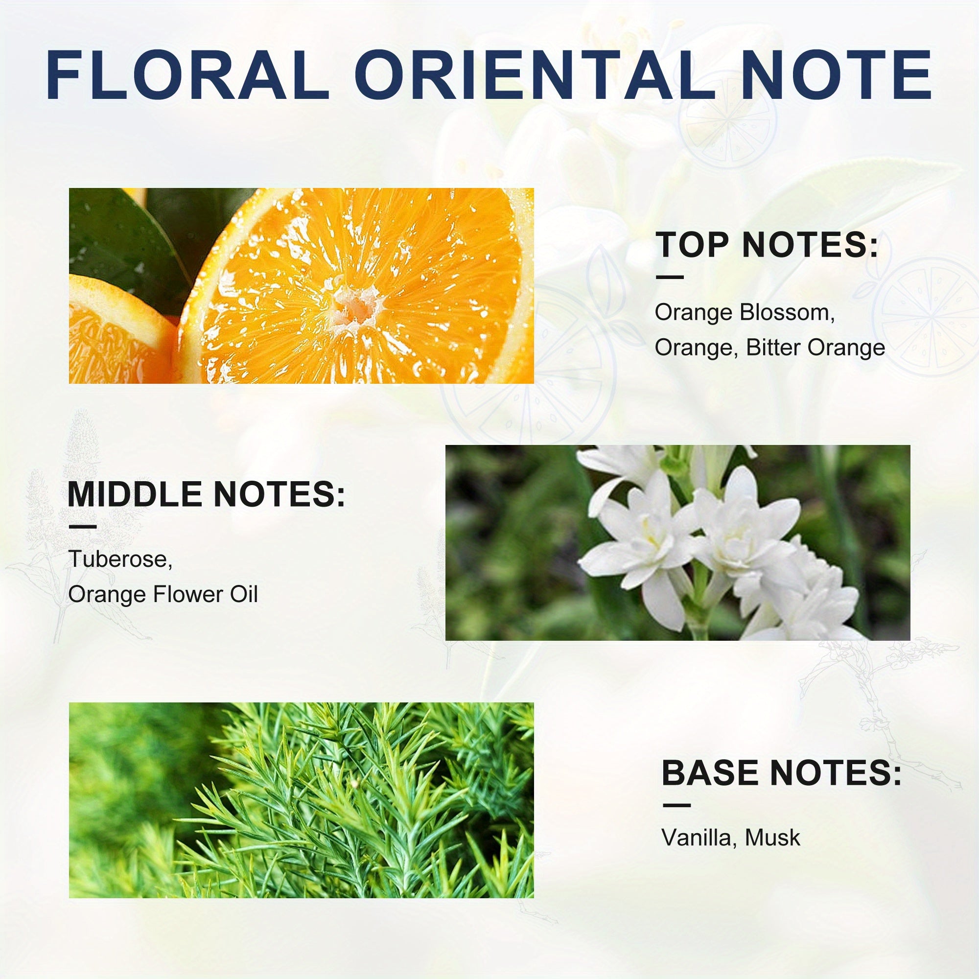 [Floral Citrus Perfume] Delicate Floral Citrus Women's Perfume | Blend Of Vibrant Evening Primrose, Fresh Jasmine with Warm Wooden Base with Musk And Lily Of The Valley, Perfect for Special Occasions, Unforgettable Gifts Vale