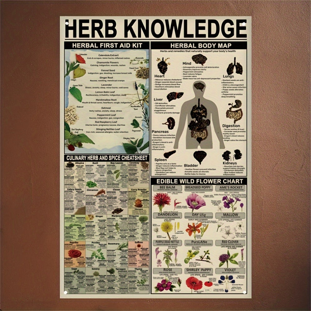 1pc, Herb Knowledge Aluminum Sign (8''X12''/20cm*30cm)Metal Sign, Herbal First Aid Kit Infographic Poster Pharmacist Study Guide Tin Plaque Home Pharmacy Office Kitchen Wall Decor (12''X16''/30cm*40cm)