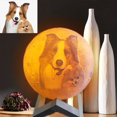 Customized Photo Lamp, Customized Photo Gift, 3D Print Your Photos, Birthday Gift, Anniversary Gift, Valentine's Day Gift, Mother's Day Gift, Father's Day Gift, Christmas Gift, USB Desk Lamp, Bedside Night Light, Bedroom Lamp